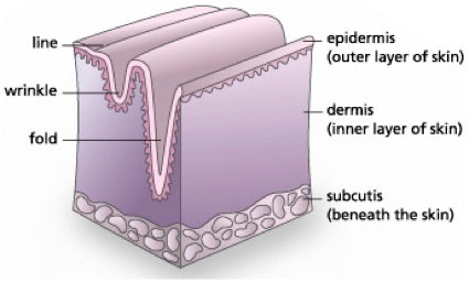Collagen and Olive Oil Moisturizing Face and Body Soap